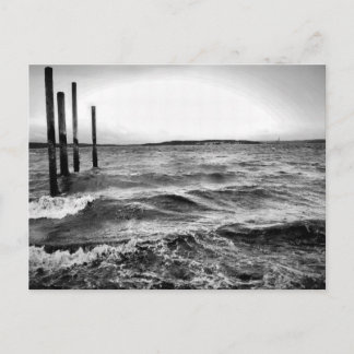 svartvit fotografi vykort