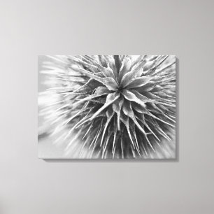 Svartvit fotografiblommigt canvastryck