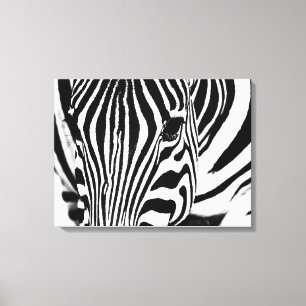 Svartvit från Zebra porträtt Canvastryck