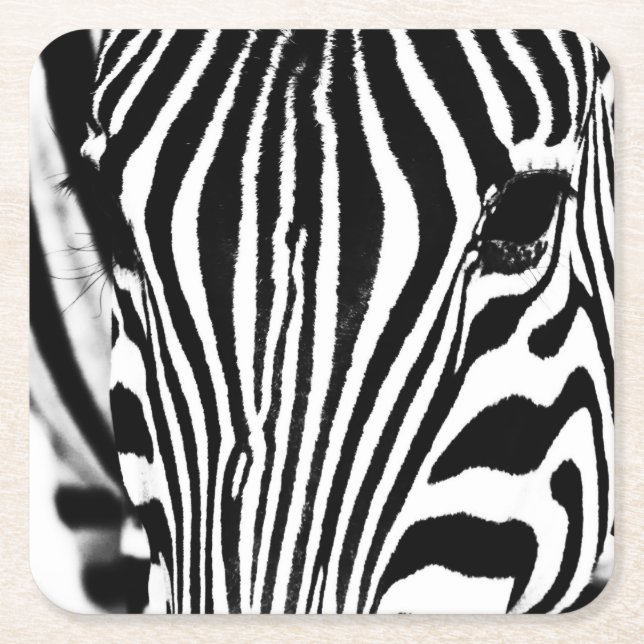 Svartvit från Zebra porträtt Underlägg Papper Kvadrat (Framsidan)
