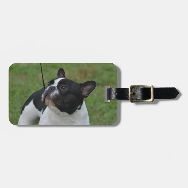 Svartvit fransk bulldogg bagagebricka (Horisontell Framsida)