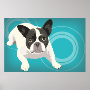 Svartvit fransk bulldogg på blåttbakgrund poster
