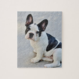 Svartvit fransk bulldogg pussel