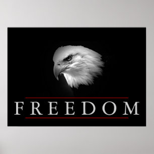 Svartvit Frihetslös Öagle Poster