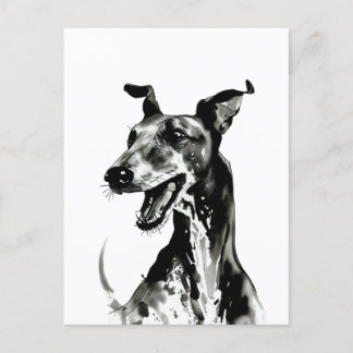 Svartvit Galgo Español | Glatt Greyhound Vykort