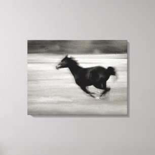 Svartvit Galloping Horse Canvastryck