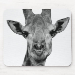 Svartvit giraff-fotografi musmatta