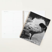 Svartvit grått - tyst Moment från Sjö