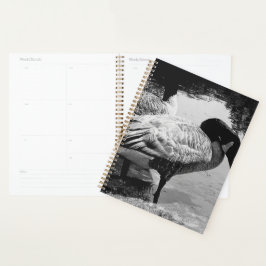 Svartvit grått - tyst Moment från Sjö