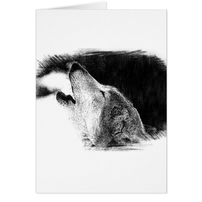 Svartvit Grått Varg Sketch Artwork Hälsningskort (Framsidan)