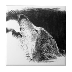 Svartvit Grått Varg Sketch Artwork Kakelplatta