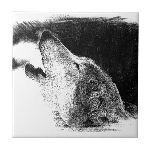 Svartvit Grått Varg Sketch Artwork Kakelplatta (Framsidan)