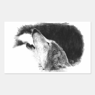 Svartvit Grått Varg Sketch Artwork Rektangulärt Klistermärke