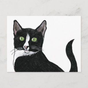 Svartvit Grönt Eyed Cat Vykort
