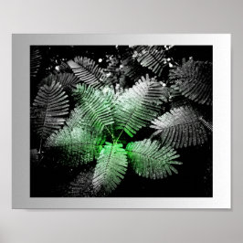 Svartvit Grönt Tropical Printable Art Poster