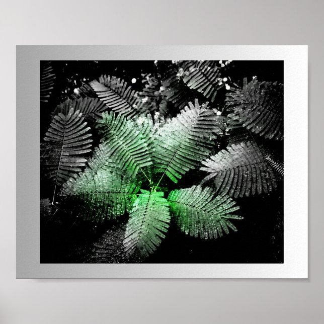 Svartvit Grönt Tropical Printable Art Poster (Framsidan)