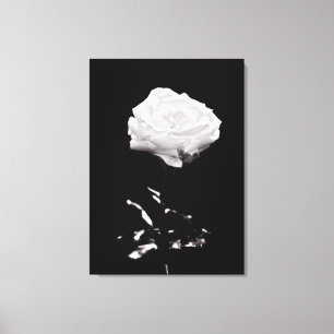 Svartvit härlig rosa närbild canvastryck