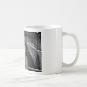 Svartvit häst - Fotografi av djur Kaffemugg