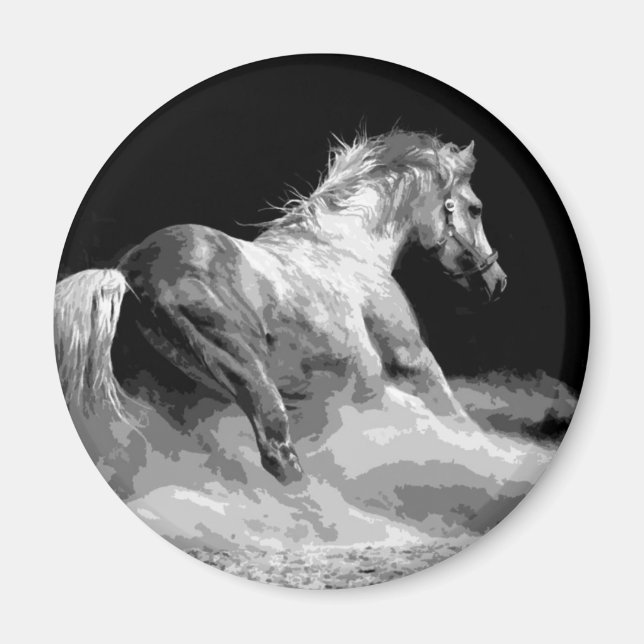 Svartvit häst i aktion magnet (Framsidan)