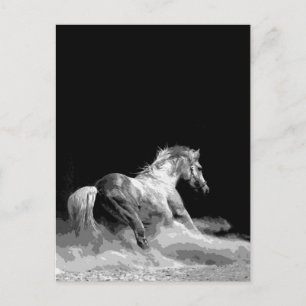 Svartvit häst i aktion vykort