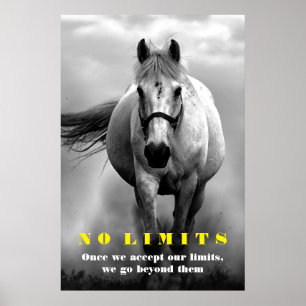 Svartvit häst Motivational No Limits Artwork Poster