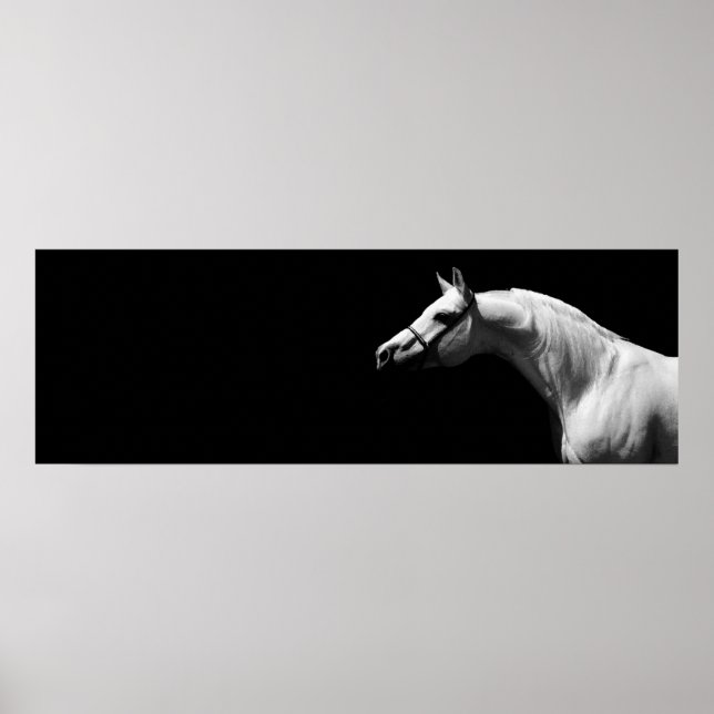 Svartvit häst poster (Framsidan)