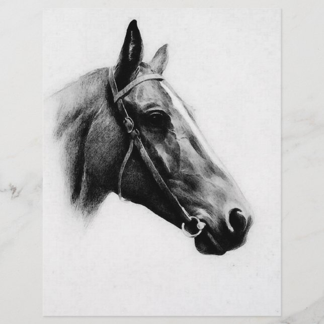 Svartvit häst reklamblad (Framsidan)