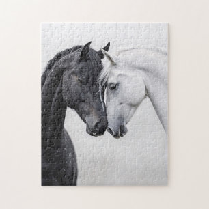 Svartvit hingst Art Pussel