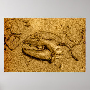 Svartvit hummerkloliknande strandfotoposter poster