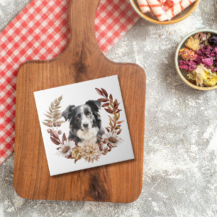 Svartvit Hund Australian shepherd höstkrans Kakelplatta