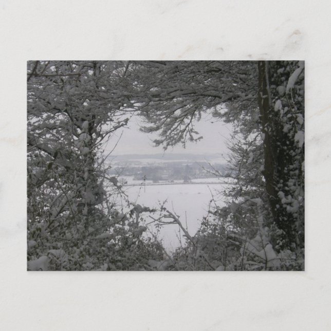 Svartvit jul för foto för kärleksnöhjärta helg vykort (Framsida)