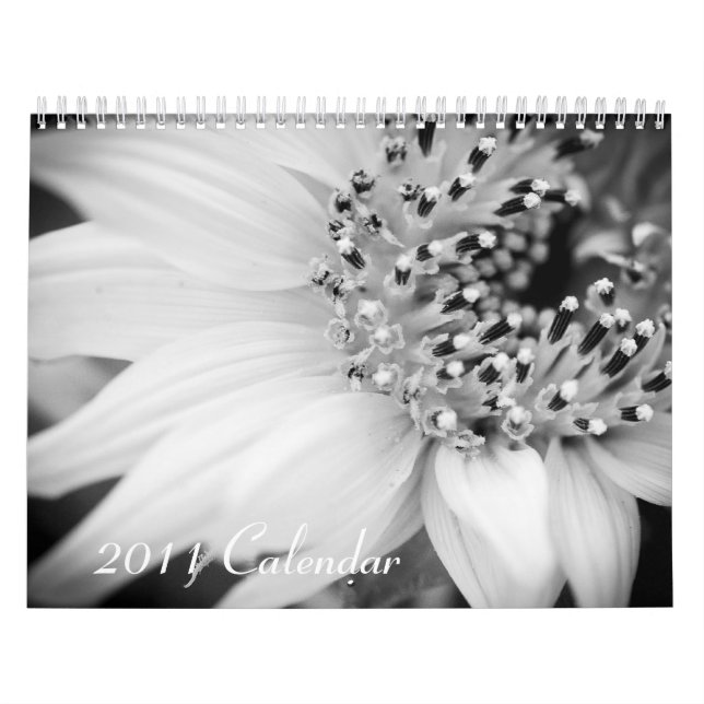 Svartvit kalender 2011 - (Omslag)