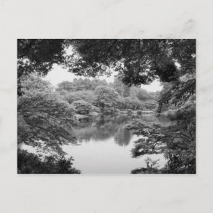 Svartvit, kall unik natur och sjö vykort