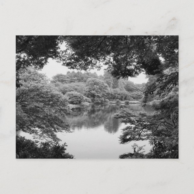 Svartvit, kall unik natur och sjö vykort (Framsida)