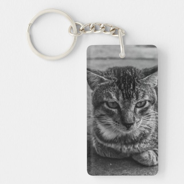 Svartvit katt (Framsidan)