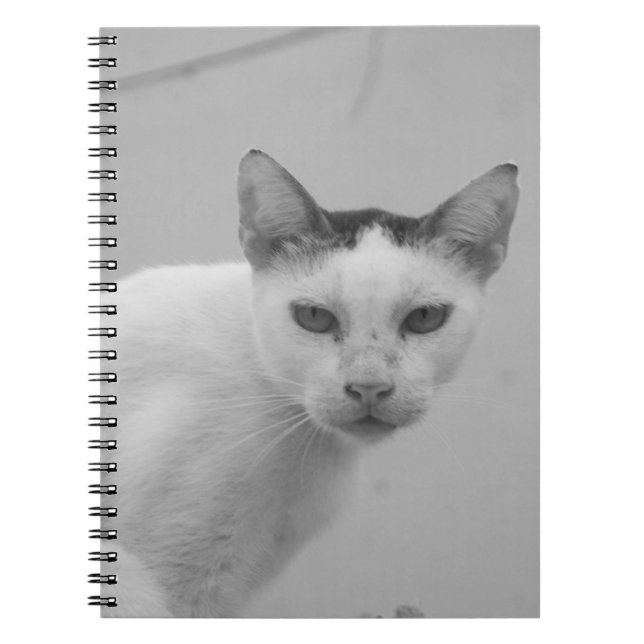 Svartvit - Katt 02 Anteckningsbok (Framsidan)