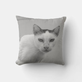 Svartvit - Katt 02 Kudde