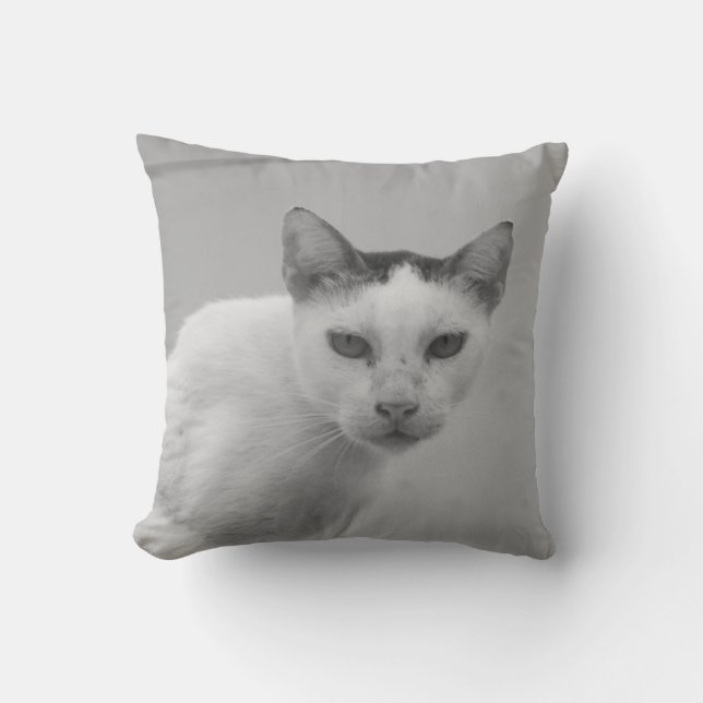 Svartvit - Katt 02 Kudde (Framsida)