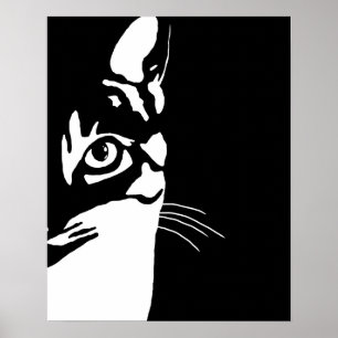 Svartvit katt 657 poster