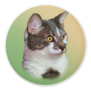 Svartvit katt, anpassade knopp