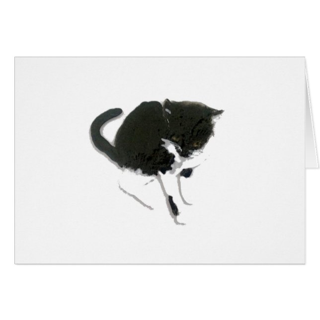 Svartvit katt av kattunge hälsningskort (Framsidan Horizontal)
