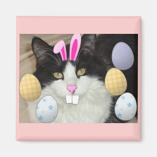 Svartvit katt från Påsk Magnet