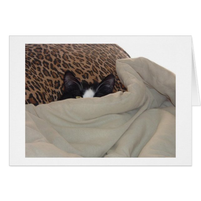Svartvit katt hälsningskort (Framsidan Horizontal)
