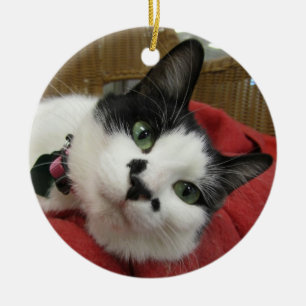 Svartvit katt julgransprydnad keramik