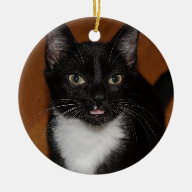 SVARTVIT KATT JULGRANSPRYDNAD KERAMIK (Framsidan)