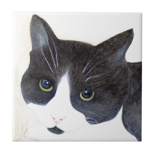 Svartvit katt kakelplatta (Framsidan)