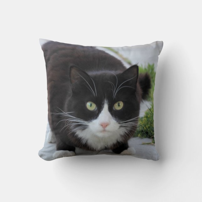 Svartvit katt kudde (Framsida)