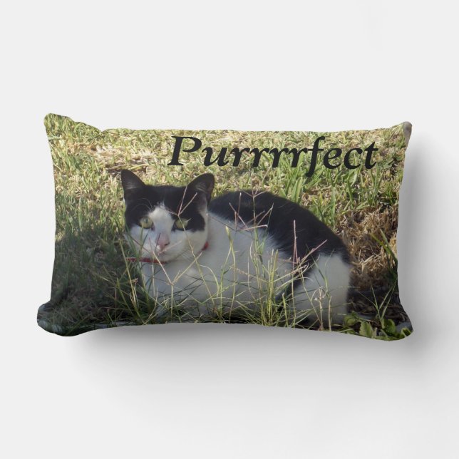 Svartvit katt. lumbarkudde (Framsida)