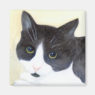 Svartvit katt magnet