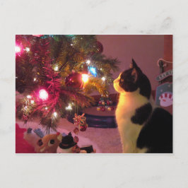 Svartvit katt med Julgran-vykort Vykort